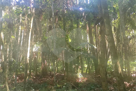 Terreno à venda em Dos Finco, São Bernardo do Campo, SP