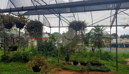Terreno à venda em Jardim Cordeiro, São Paulo, SP
