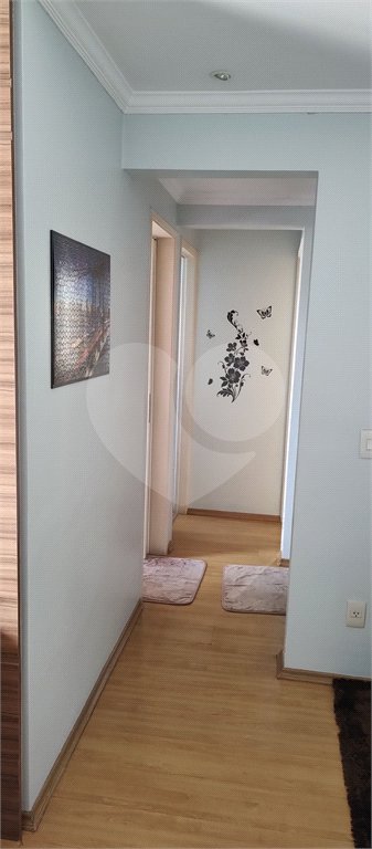 Apartamento à venda com 3 quartos em Vila Antonieta, São Paulo, SP