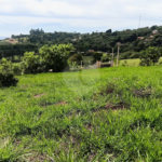 Terreno à venda em Planalto Verde, São Roque, SP