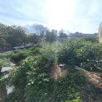 Terreno à venda em Horto, São Paulo, SP