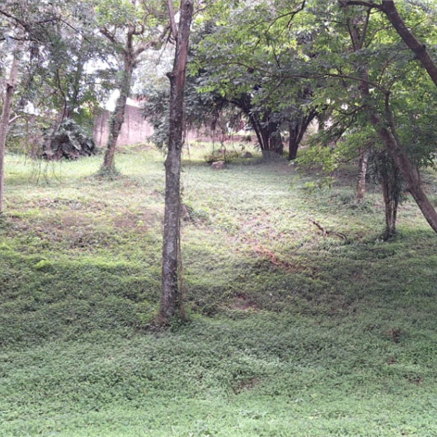 Terreno à venda em Marambaia, Vinhedo, SP