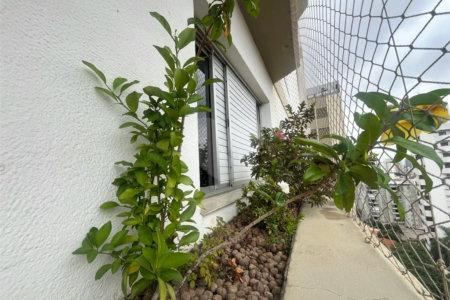 Apartamento à venda com 3 suítes em Tucuruvi, São Paulo, SP