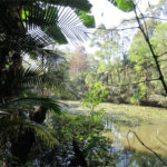 Terreno à venda no condomínio Chácara Flora, São Paulo - SP