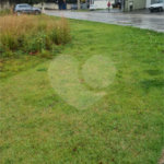 Terreno para alugar no Centro, Vinhedo, SP