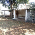 Casa Térrea à venda com 3 quartos em Imirim, São Paulo, SP