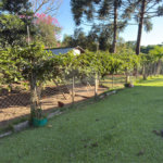 Chácara à venda com 4 quartos, sendo 3 suítes,  em Vila Recreio, Itapetininga, SP