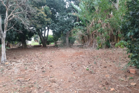 Terreno à venda em Vila Judite, Itapetininga, SP
