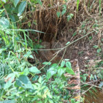 Terreno à venda em Chácara Fernão Dias, Bragança Paulista, SP