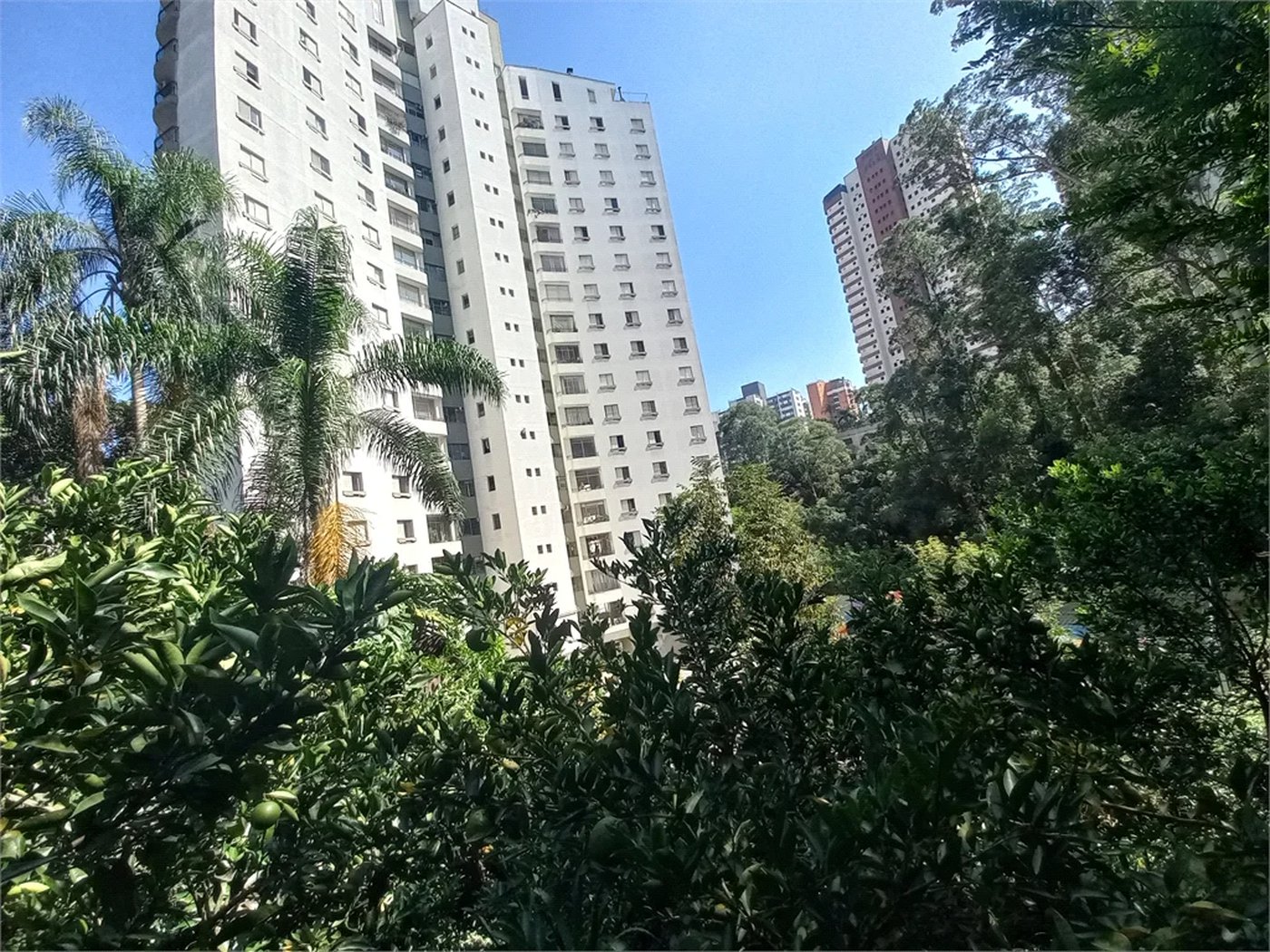Apartamento à venda com 3 quartos, sendo 1 suíte,  em Vila Andrade, São Paulo, SP