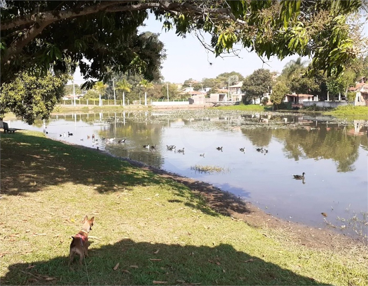 Terreno à venda no condomínio Terras de Santa Rosa II, Salto - SP