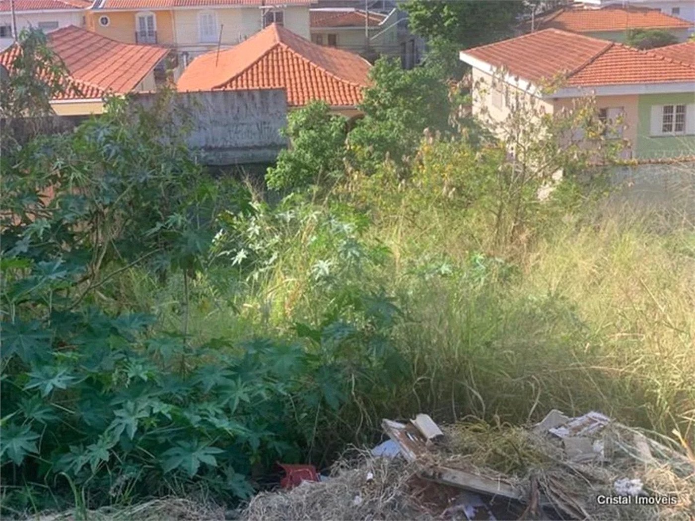 Terreno à venda em Jardim Bonfiglioli, São Paulo, SP