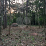 Terreno à venda em Roseira, Mairiporã, SP