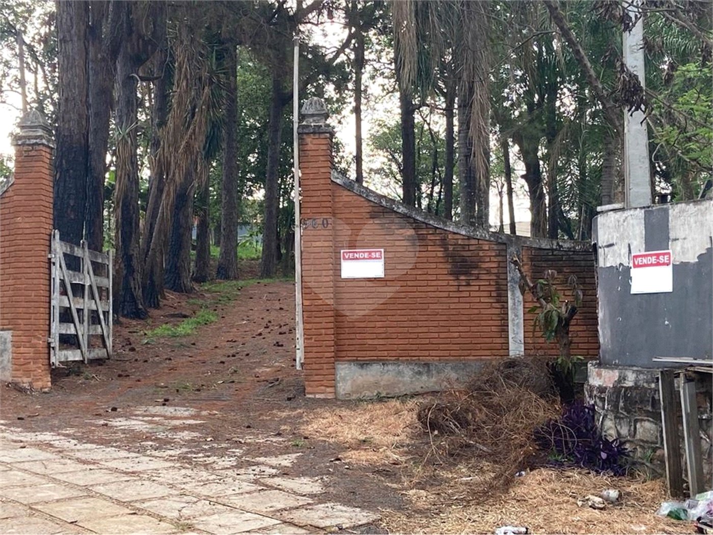 Área de Terra à venda em Jardim São José, Américo Brasiliense, SP