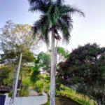 Chácara à venda com 1 suíte em Chácaras Vista Alegre, Arujá, SP