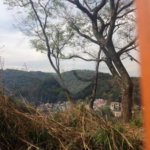 Terreno à venda no condomínio Sem Nome, São Paulo - SP