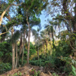 Terreno à venda no condomínio Sausalito, Mairiporã - SP