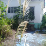 Terreno à venda em Tucuruvi, São Paulo, SP