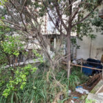 Sobrado à venda com 3 quartos em Santana, São Paulo, SP