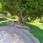 Chácara à venda com 4 quartos, sendo 2 suítes, em Parque Valinhos, Valinhos, SP