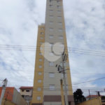 Apartamento para alugar com 2 quartos em Rio Pequeno, São Paulo, SP