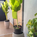 Casa à venda ou para alugar com 3 suítes no condomínio London Park, Indaiatuba - SP