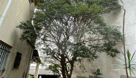 Sobrado à venda com 2 quartos em Vila Regente Feijó, São Paulo, SP
