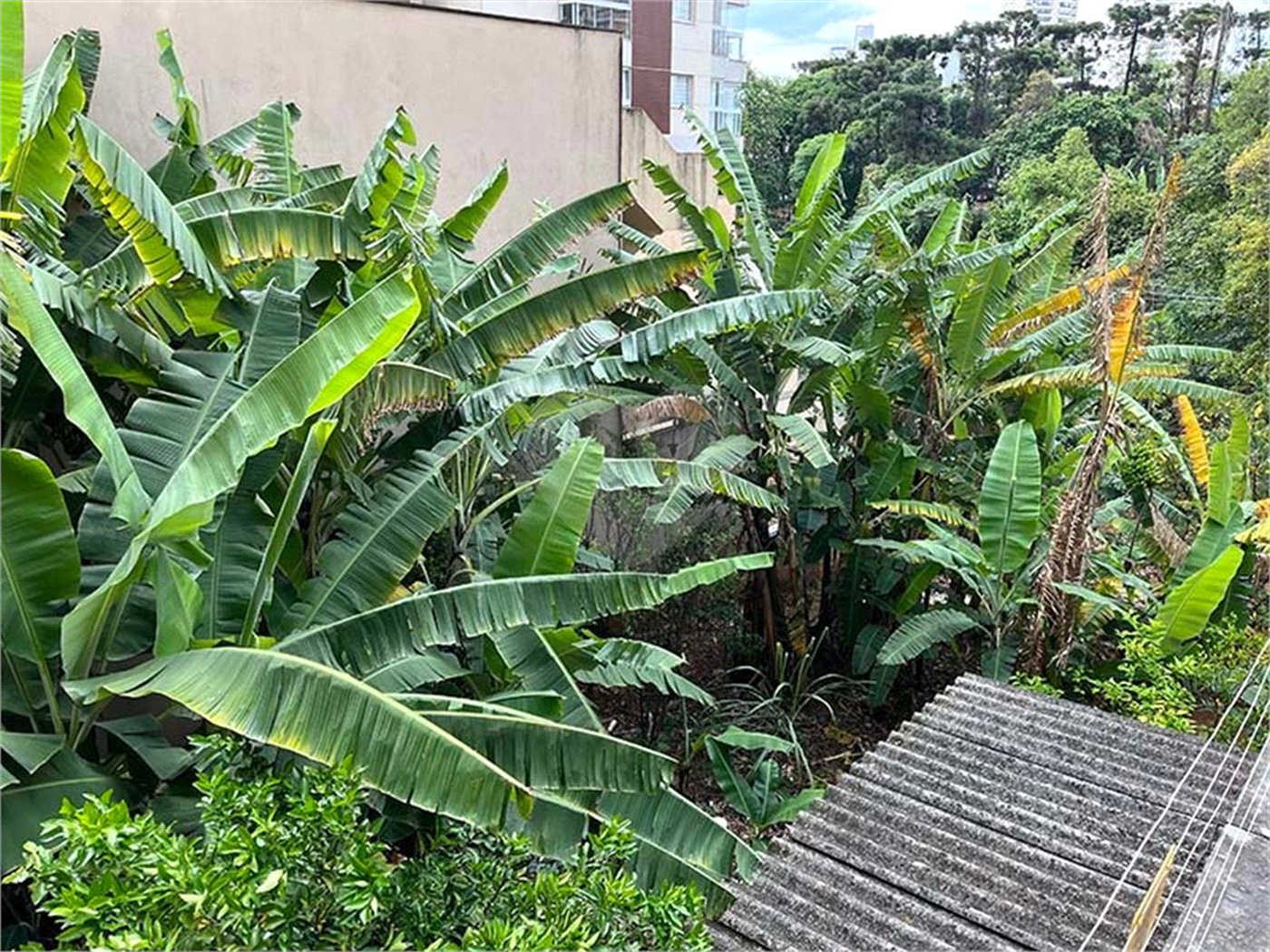 Terreno à venda em Santana, São Paulo, SP