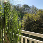 Apartamento à venda com 3 suítes em Lar São Paulo, São Paulo, SP
