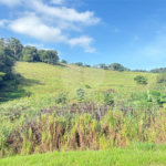 Sítio à venda com 3 quartos, sendo 1 suíte, no Centro, Guararema, SP