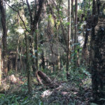 Terreno à venda em Roseira, Mairiporã, SP