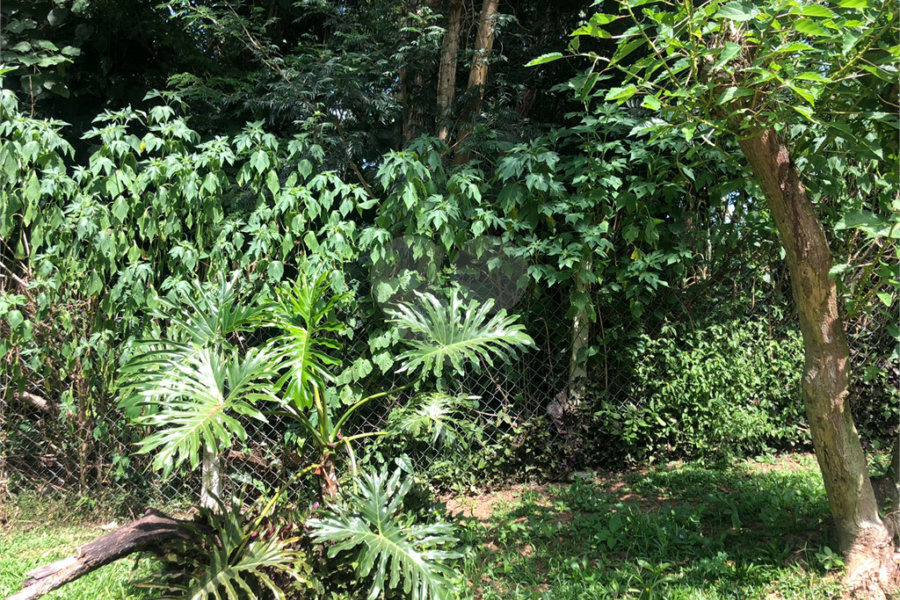 Terreno à venda em Serra da Cantareira, Mairiporã, SP