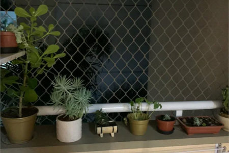 Apartamento à venda com 2 quartos em Paraisópolis, São Paulo, SP