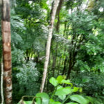 Terreno à venda no condomínio Associação Reserva das Hortênsias, Mairiporã - SP