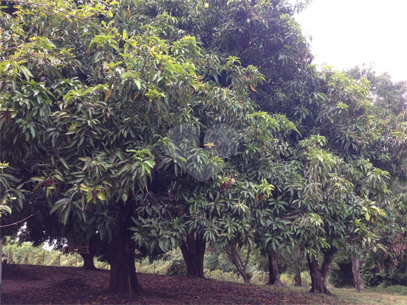 Área de Terra à venda em Colinas do Mosteiro de Itaici, Indaiatuba, SP