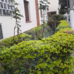 Apartamento à venda com 3 quartos, sendo 1 suíte, em Vila Mariana, São Paulo, SP