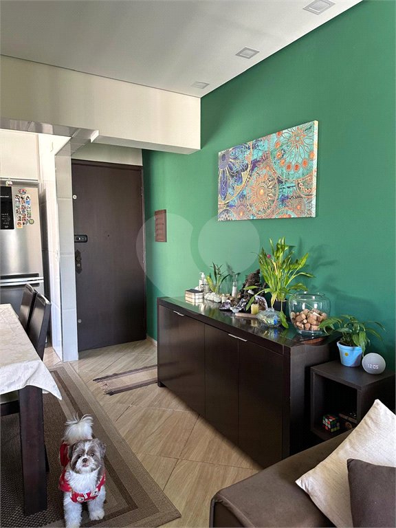 Apartamento à venda com 4 quartos, sendo 1 suíte, em Parque Tomas Saraiva, São Paulo, SP