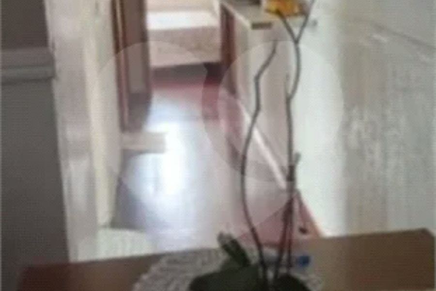 Apartamento à venda com 2 quartos em Mandaqui, São Paulo, SP