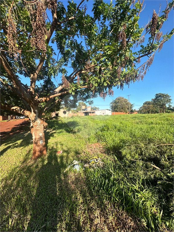 Terreno à venda em Pedro Juan Caballero, Amambay