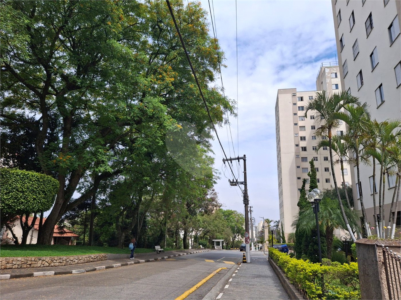 Apartamento à venda com 2 quartos em Parque Mandaqui, São Paulo, SP