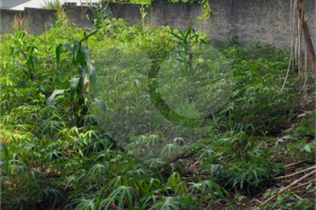 Terreno à venda em Jardim do Lago, Atibaia, SP