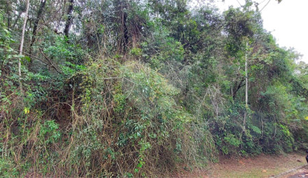 Terreno à venda no condomínio Alpes da Cantareira, Mairiporã - SP