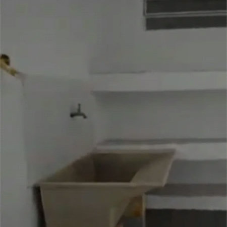 Sobrado à venda com 3 quartos em Vila Lageado, São Paulo, SP