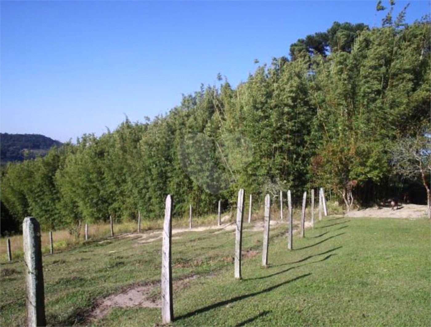 Terreno à venda em Vila Darcy Penteado (mailasqui), São Roque, SP