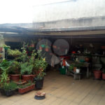 Casa à venda com 4 suítes em Parque Independência, São Paulo, SP