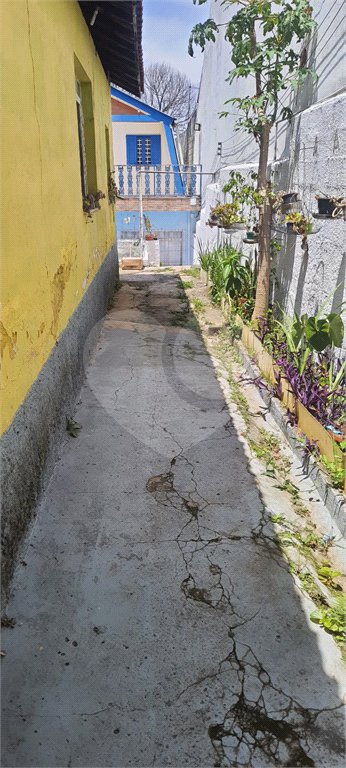 Terreno à venda com 3 quartos em Vila Guilherme, São Paulo, SP
