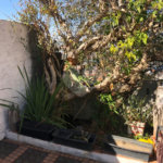 Casa Térrea à venda com 3 quartos em Tremembé, São Paulo, SP