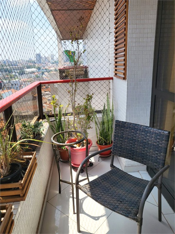 Apartamento à venda com 3 quartos, sendo 1 suíte, em Água Fria, São Paulo, SP