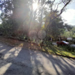 Terreno à venda no condomínio Associação Reserva das Hortênsias, Mairiporã - SP