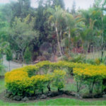 Chácara à venda com 4 quartos, sendo 2 suítes, em Portão, Atibaia, SP